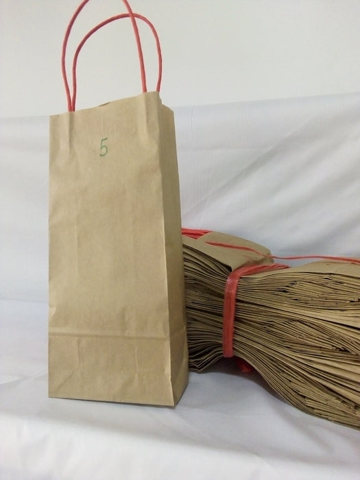Paper Bag with Twisted Handle (Different Size Available) - Price per 25pcs