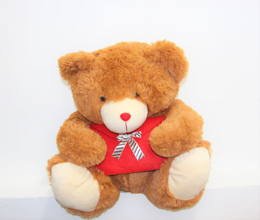Teddy Bear With Envelope